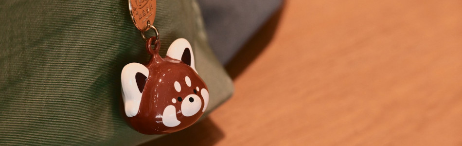 Trendul Backpack Charms: Cum sa alegi charm-ul potrivit (Inclusiv Labubu)